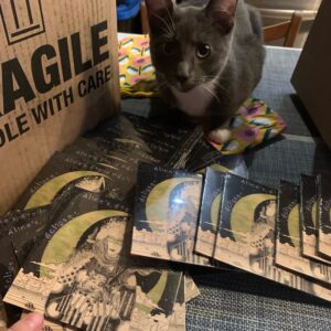 Aline's étoile magique live in Toronto, ticket + t-shirt or CD - Image 6